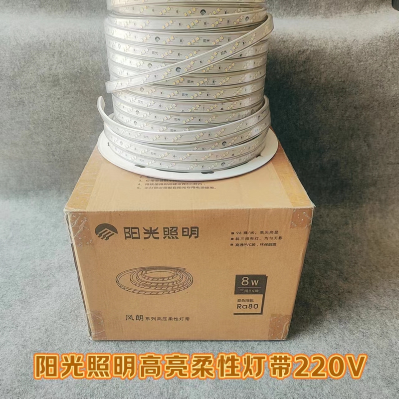 Sunshine Lighting Strip Led Ultra-Bright Linear Light Home Decoration Ceiling Decoration Patch 220V Outdoor Waterproof 100m