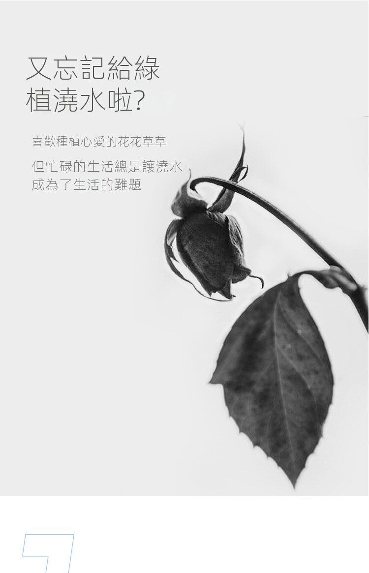 详情图03.jpg