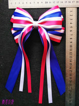 School Games Accessories Aerobics Cheerleading Dance Competition Headwear floral headdress Hair Strings Blue and White