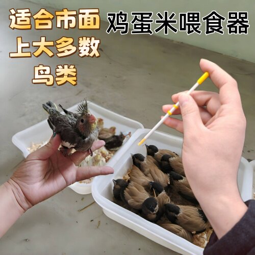 蛋小米喂食器手养鸟玄凤珍珠十姐妹牡丹喂食鸡蛋米幼鸟雏鸟喂工具
