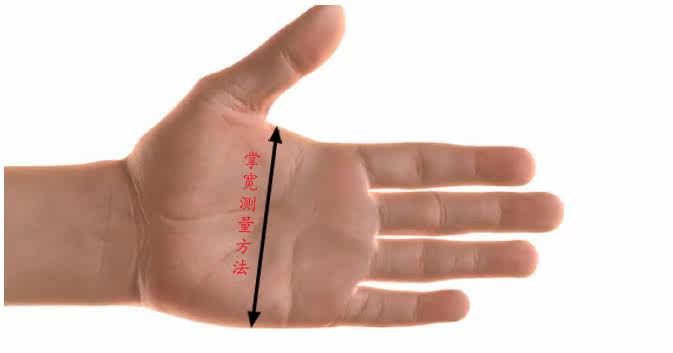 Gants de cyclisme mixte - Ref 2239072 Image 10