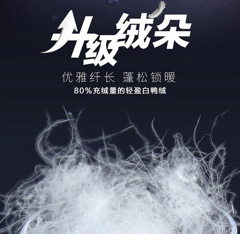 Blouson homme HODO   - Ref 3121059 Image 10