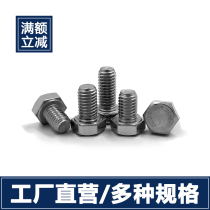 Stainless Steel 304 Hexagon Bolt Screw M10