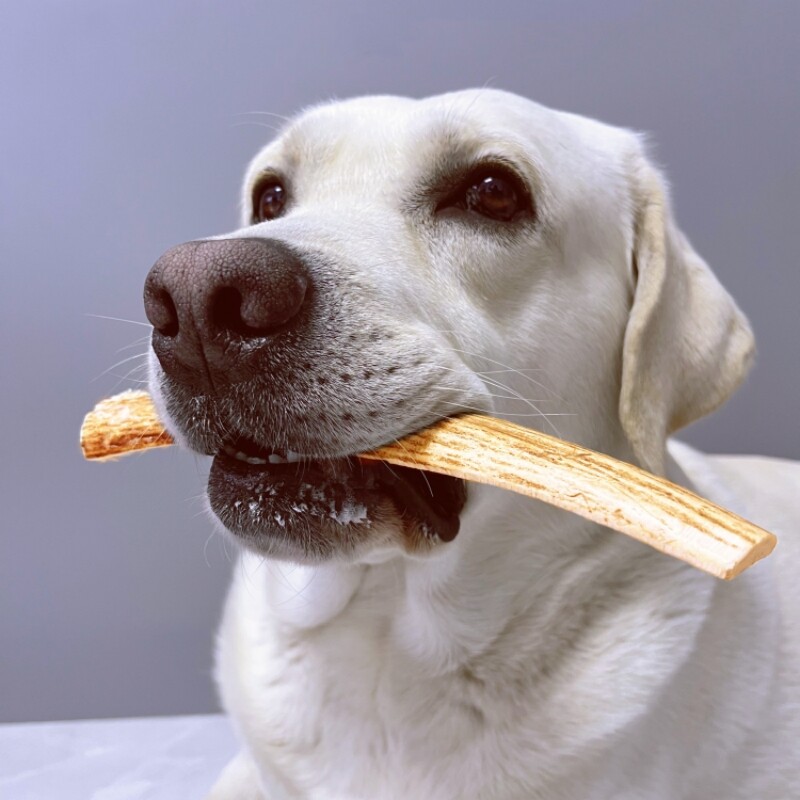 New Zealand deardeer Deer Pets Zero Food & Teeth Grinders Resistant To Bite of Calcium Deer Bone Dog Deer Antlers-Taobao