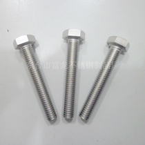  304 stainless steel outer hexagon bolt screw hexagon bolt M20*65 70 75 80 85 90 95