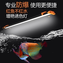 One side magic lamp ultra-thin led diving lamp waterproof fish cylinder lamp enhancement lamp full spectrum hair color lamp aquarium professional lamp