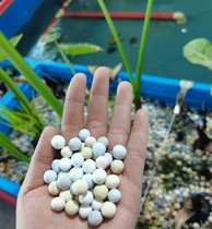  Fish tank filter material Five-color hollow ball filter material five-color cultured bacteria ball fish tank built-in filter material filter box Filter material free net bag