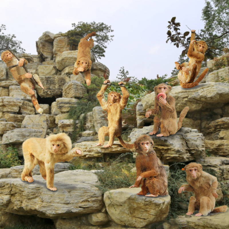 2023 New Realistic Monkey Model Specimen Display Props Professionally Crafted Animal Figurines and Crafts 2023 New Realistic Monkey Model Specimen Display Props Professionally Crafted Animal Figurines and Crafts