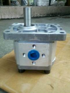 CBN-E306 CBN-F306 High Pressure Gear Pump Turn Right Turn Left Turn Spline Flat Key Flat Shaft Zhongshunda