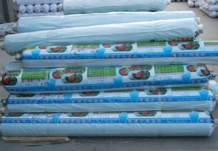 Manufacturer direct sales without droplet film thickness carpenter film anti-aging eva long life flow drip film insulation high transmittance