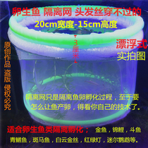 Oviparian fish isolation net small fish incubator Fry breeding box water flower Fry seedling betting fish parrot zebra hatching isolation net
