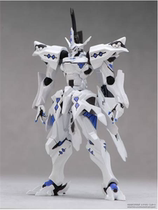 Special price Japanese version Ocean Hall mountain mouth Type 001 2012 winter limited Type-00A Wu Yu Lei