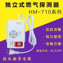 Hyman Combustible Gas Detector LPG Alarm Natural Gas Household Relay HM-710N Fire S Standard