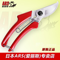 Original imported Japanese Alice ARS 120DX pruning shears Pruning shears Garden fruit tree floral scissors