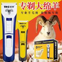 Young gentleman professional sheep electric push high power plug-in large dog cut pet shaver shear shear push