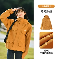 M13CA6V118 Сбор апельсиновый апельсин мужчин и женщин в том же абзаце