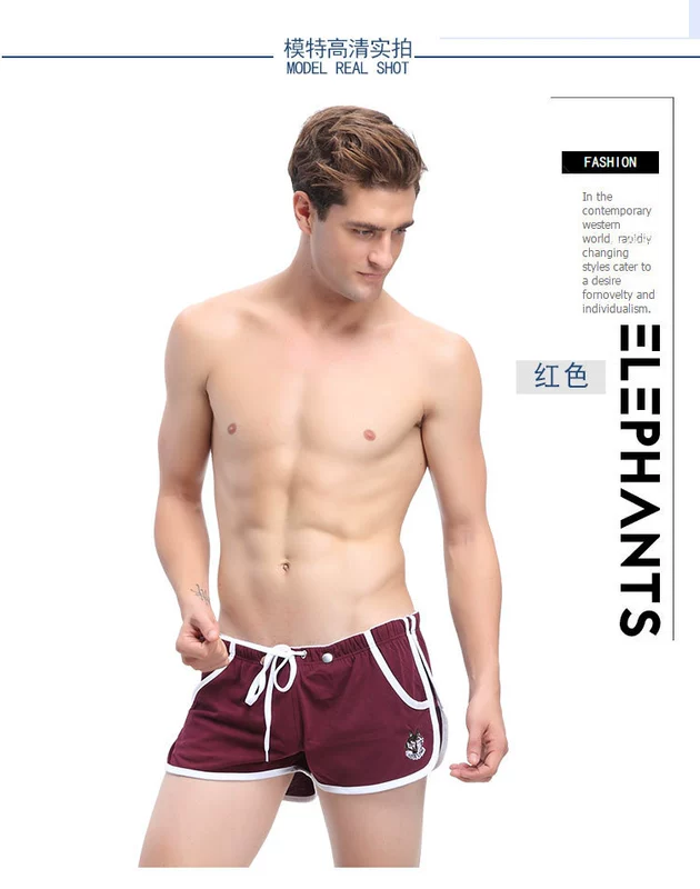 Quần lót nam boxer cotton trẻ trung cá tính thủy triều Phiên bản Hàn Quốc thoáng khí eo thấp quần ngắn đầu A quần Luo - Vòng eo thấp