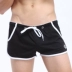 Quần lót nam boxer cotton trẻ trung cá tính thủy triều Phiên bản Hàn Quốc thoáng khí eo thấp quần ngắn đầu A quần Luo - Vòng eo thấp