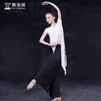 Dance wing Belly set 2018 mùa thu mới bắt đầu Đông phương quần áo tập thể dục quần áo tập thể dục Li JiaZH 2693 - Khiêu vũ / Thể dục nhịp điệu / Thể dục dụng cụ giày tập nhảy