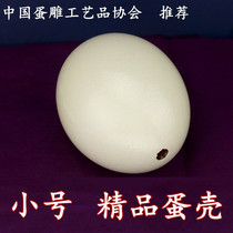 Small ostrich eggshell practice novice crafts carving raw materials DIY special ostrich eggshell products are good