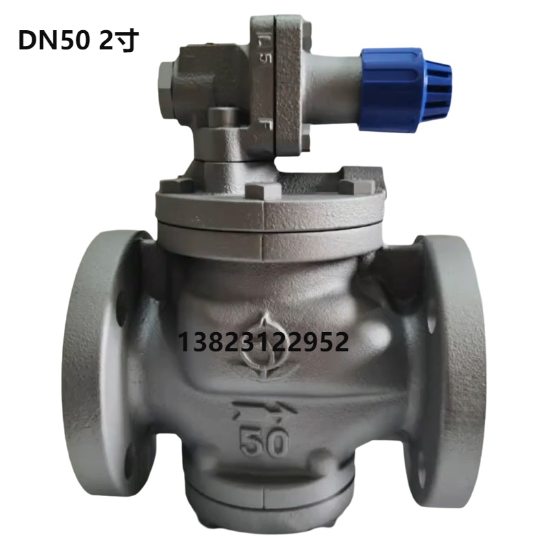 Rp-6 Imported Japanese Venn Valve Tianbian Tian High-Temperature Steam Pressure Reducing Valve Pressure Stabilizing and Regulating Valve Dn25 40 Dn50