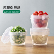 Food grade plastic small number refreshing box fridge special shallot ginger garlic seal Divine Instrumental Leachable Food Intake Box