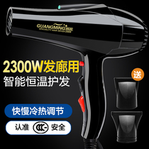 Guangming hair dryer RCT9930 high power 2300W hot and cold air home hair salon Barber shop thermostat hair dryer