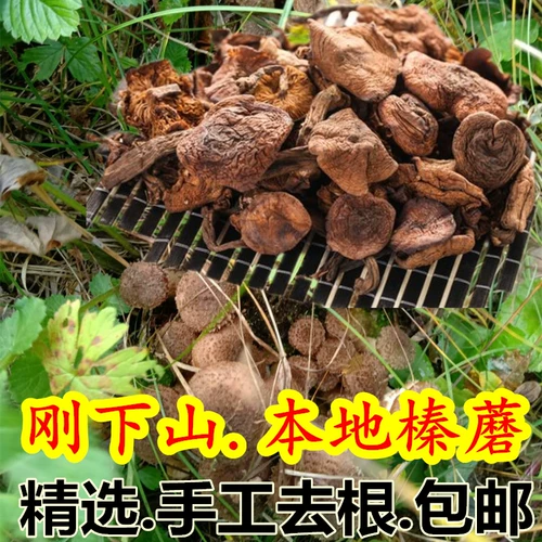 Harl Mushroom Новые товары чистые северо -восточные дикие грибы Daxinganling Хейзел Гриб 500G Натуральные лучи шиитаке грибы бесплатная доставка