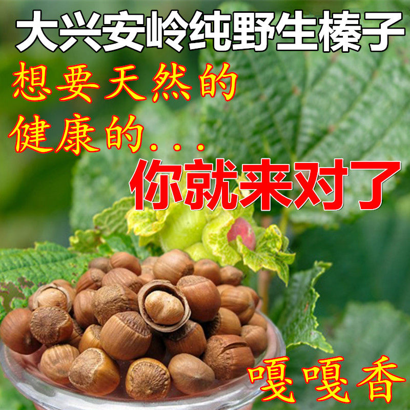 Northeast Hazelnut Daxinganling Wild Baoshan Hazelnut Cooked 2022 Fresh Raw Hazelnut Nut Snacks 500g