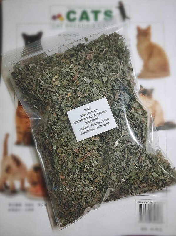 Free Shipping for Single Item Simple Packaging Catnip 50g Catnip Buy Three Get Four Pregnant Cats Should Not Use Free Shipping for Single Item Simple Packaging Catnip 50g Catnip Buy Three Get Four Pregnant Cats Should Not Use