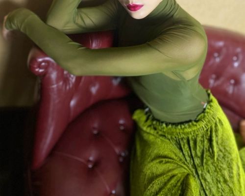 Wyz покрыл новое красивое сетевое марле, соединенное армейским зеленым темпераментом с высоким уровнем чистого цвета сексуальное сетчатое платье