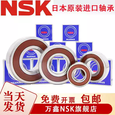 Import NSK Japan bearing 6300 6301 6302 6303 6304 6305 6306 6307DDU ZZ