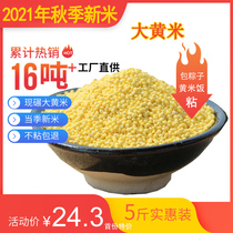 Now crushed rhubarb rice 5kg Dragon Boat Festival yellow rice dumplings glutinous yellow rice on the dam sticky big yellow rice northeast sticky yellow glutinous rice