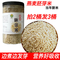 Broken Wall oat rice oatmeal germ rice oat kernels peeled oats germ rice oat kernel 500g