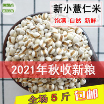 Autumn 2021 new small barley Guizhou new barley rice farmhouse Xingren small coix seed rice cooking porridge 500g