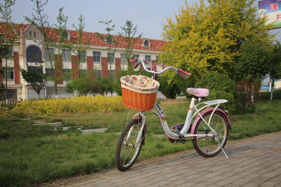 Panier pour vélo en vigne - Ref 2257871 Image 22