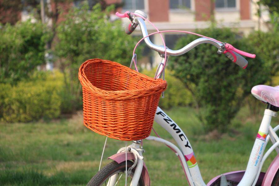 Panier pour vélo en vigne - Ref 2257871 Image 17