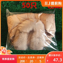 55*65 large clothing zipper bag summer cool quid autumn and winter clothes transparent self-sealing plastic bag packaging storage bag