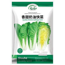 Shouhe sweet cream fast vegetable seeds 10g seeds larvae vegetable seeds rapeseed four seasons green vegetables spring and autumn potted plants
