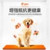 [Ngày hôm sau] thức ăn ngon cho chó chủ Lông vàng Labrador chó trưởng thành thức ăn 10kg lông đẹp - Chó Staples