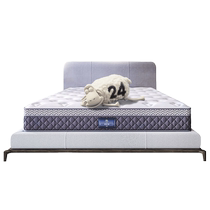 Serta Dream Angel Latex Mattress Independent Pocket Spring Mattress Seven Zones Spine Protection Moderate Sleeping Feel