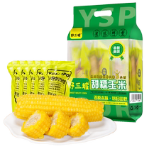 Yesanpo corn yellow waxy corn fresh non-vacuum non-organic sweet sticky corn 230g*8 ears baby glutinous corn