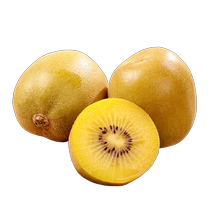 (One piece) Sichuan Pujiang Yellow Heart Kiwi Golden Kiwi Fruit Seasonal Fresh Fruits Picked Now