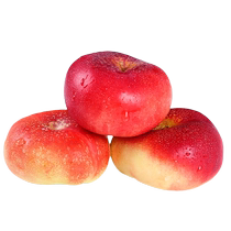 Button Oil Flat Peach 500g
