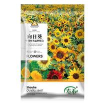 Shouhe sunflower seeds vegetable seeds 100 dwarf ornamental potted plants four seasons teddy bear flower seeds