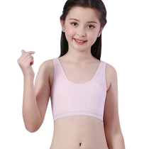 Vibrant girls underwear vest development period childrens tube top pure cotton bra for middle-aged and primary school students girls