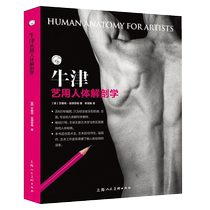 Oxford Arts Human Anatomy Human Structure Skeletal Muscle Surface Structure Painting Teaching