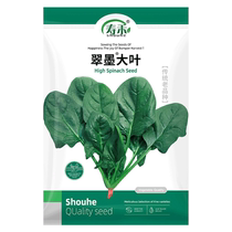 Shouhe Cuimo big-leaf spinach seeds 30g seeds vegetable seeds rapeseed four-season balcony planting