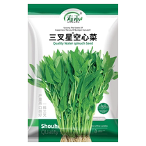 Shouhe three-pointed star water spinach seeds 20g seeds vegetable seeds balcony potted four-season green rapeseeds