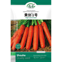 Shouhe Huangjian No. 1 carrot seeds vegetable seeds 50g rapeseed carrots fruit carrots